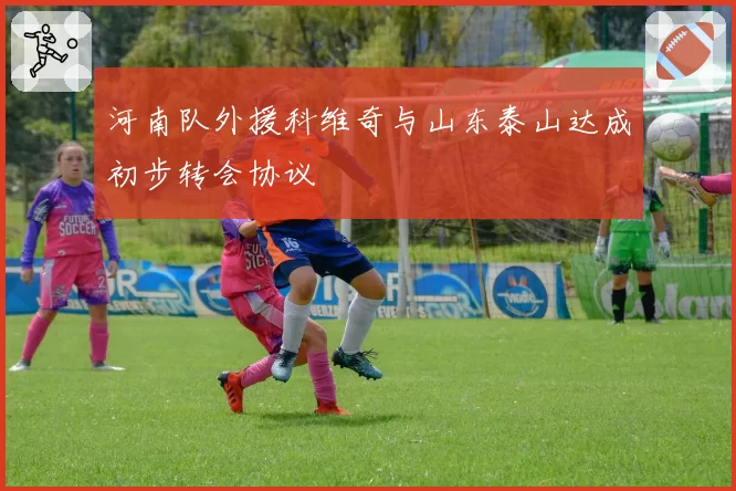 河南队外援科维奇与山东泰山达成初步转会协议