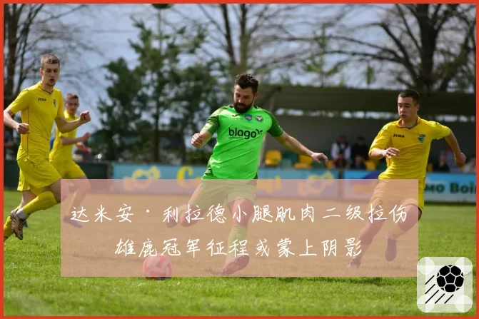 达米安·利拉德小腿肌肉二级拉伤，雄鹿冠军征程或蒙上阴影