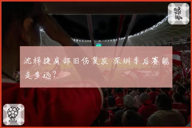 沈梓捷肩部旧伤复发 深圳季后赛能走多远？