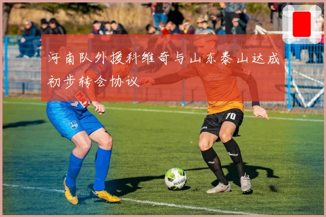 河南队外援科维奇与山东泰山达成初步转会协议
