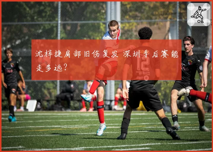 沈梓捷肩部旧伤复发 深圳季后赛能走多远？